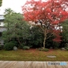 2015紅葉（本法寺）