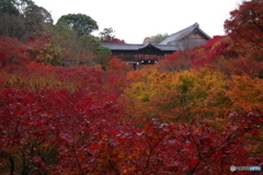 2018紅葉（東福寺・臥雲橋より通天橋を望む）