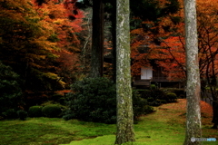 2016秋景色5（紅葉　大原　三千院）