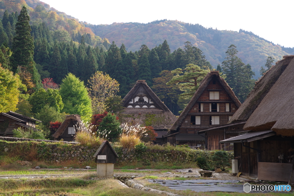 白川郷の秋6（2022紅葉）