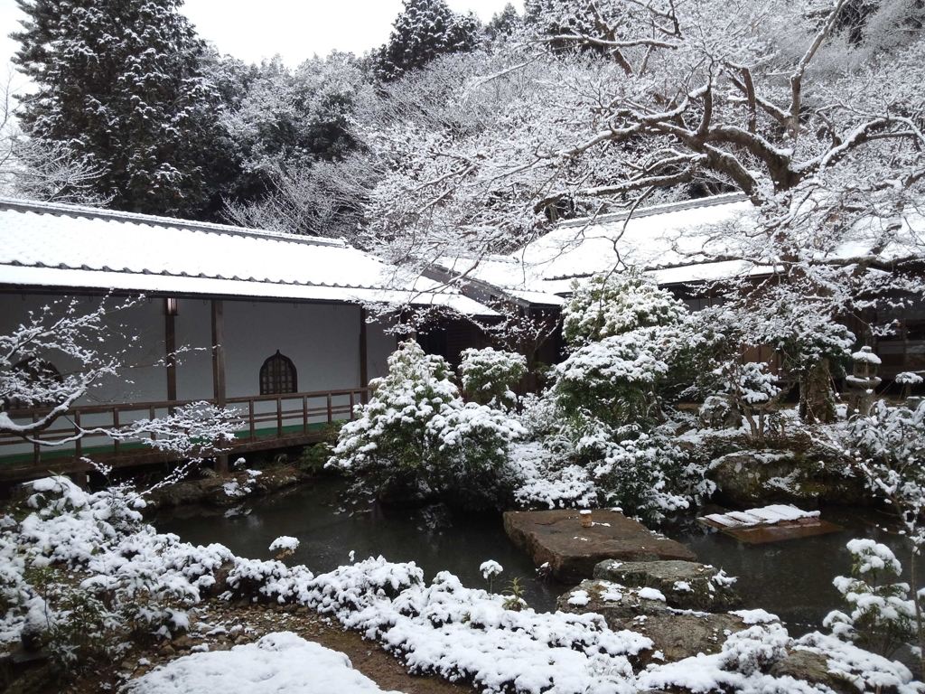 岩倉実相院・雪化粧