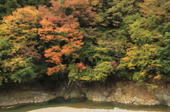 桂川上流の紅葉