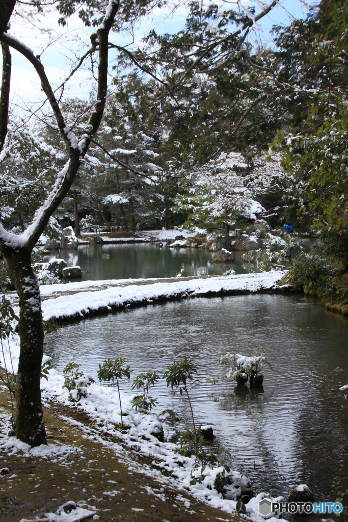 2017京雪景（鹿苑寺金閣8）