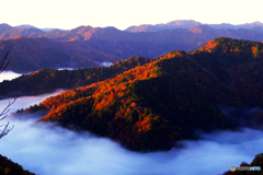 小入谷の雲海（most impression view）