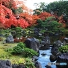 2015紅葉（城南宮1）