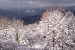比叡雪景（つつじの丘）