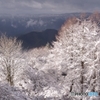比叡雪景（つつじの丘）