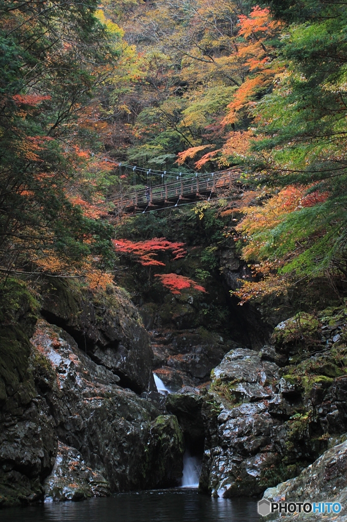 2015紅葉（みたらい渓谷5）