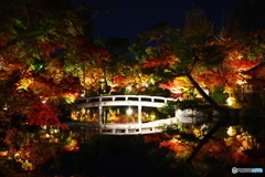 2018紅葉　永観堂1