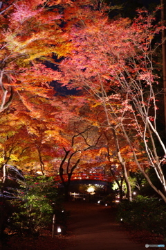 2018紅葉（北野天満宮ライトアップ1）