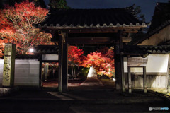 2018紅葉(酬恩菴・一休寺ライトアップ3)