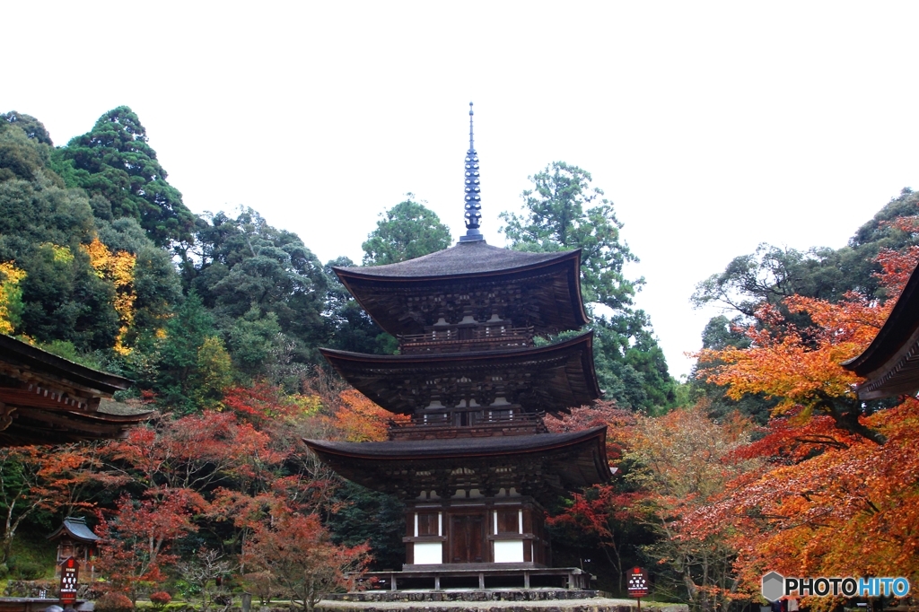 2015紅葉（西明寺1）