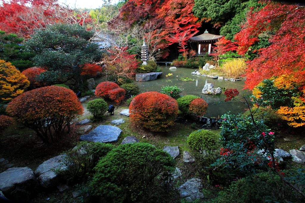 紅葉・毘沙門堂②（晩翠園）