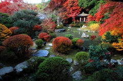 紅葉・毘沙門堂②（晩翠園）