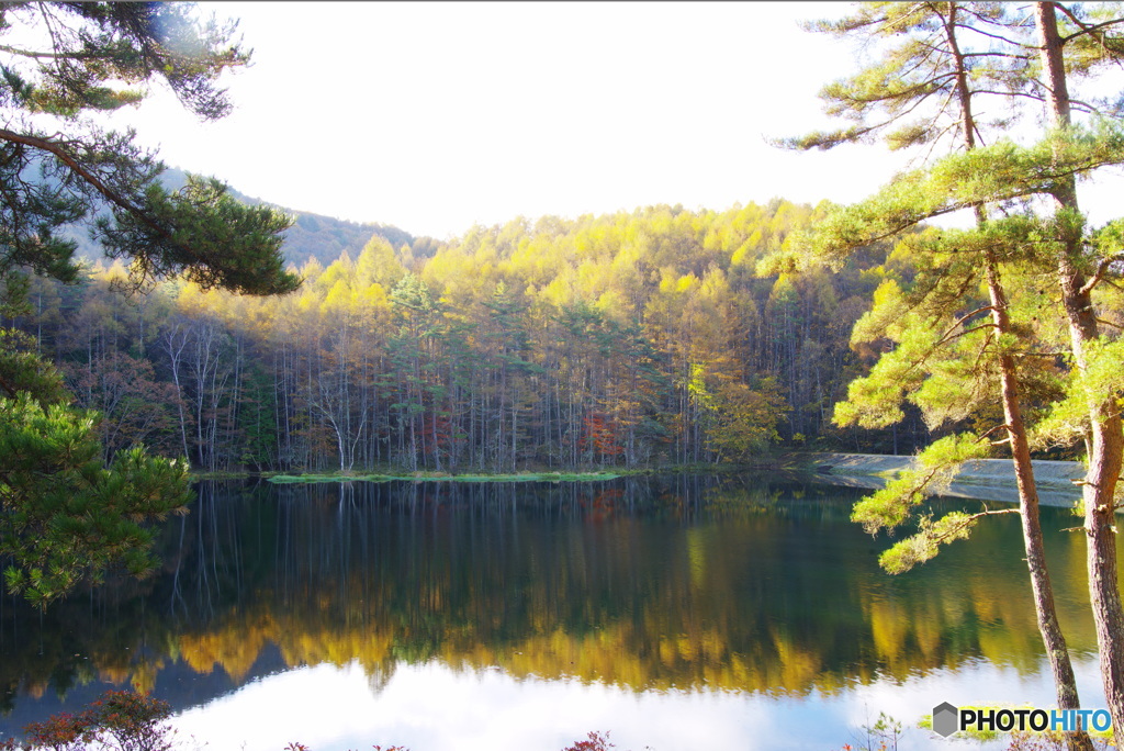 御射鹿池の紅葉1（2022紅葉）