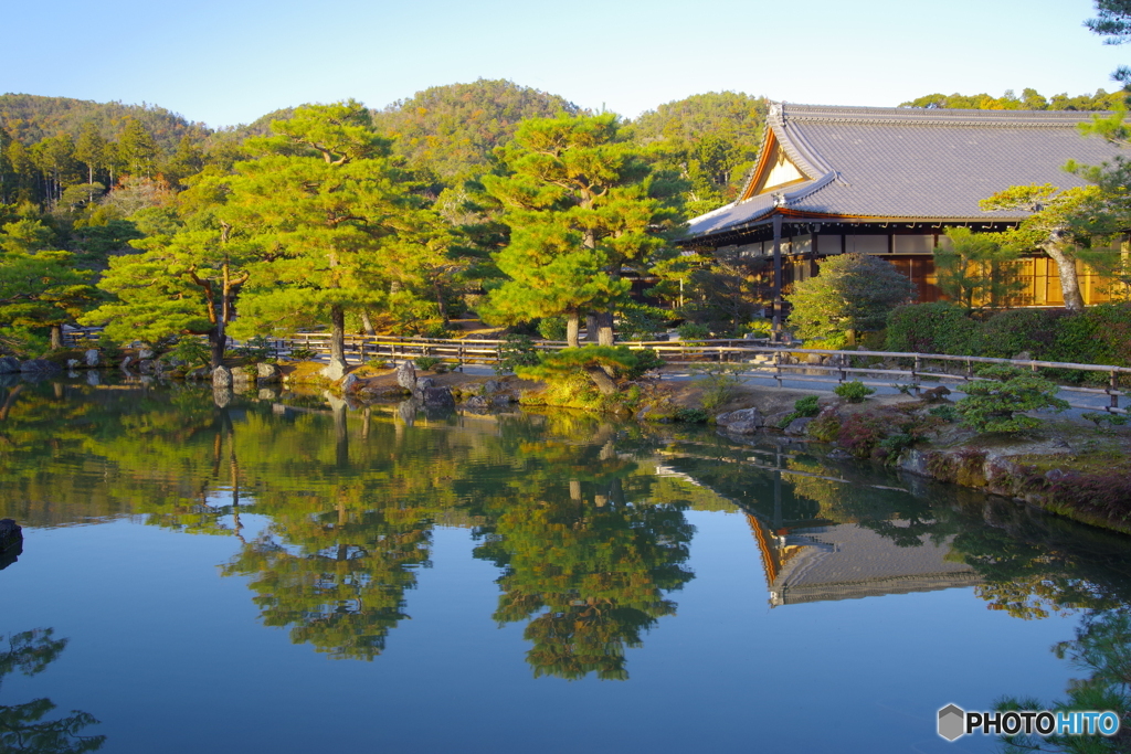 静寂の鹿苑寺（本堂を望む）