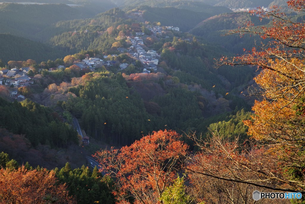 2018紅葉（吉野山・上千本より1）