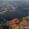2018紅葉（吉野山・上千本より1）