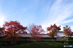 2018紅葉(妙満寺2・駐車場より横参道沿いの紅葉）