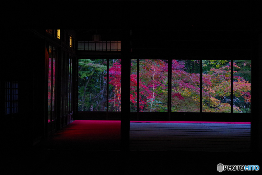 2021京の紅葉（天授庵11）
