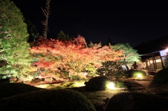 雲龍院1（中庭　紅葉ライトアップ）