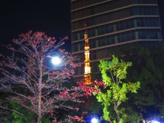 東京タワー