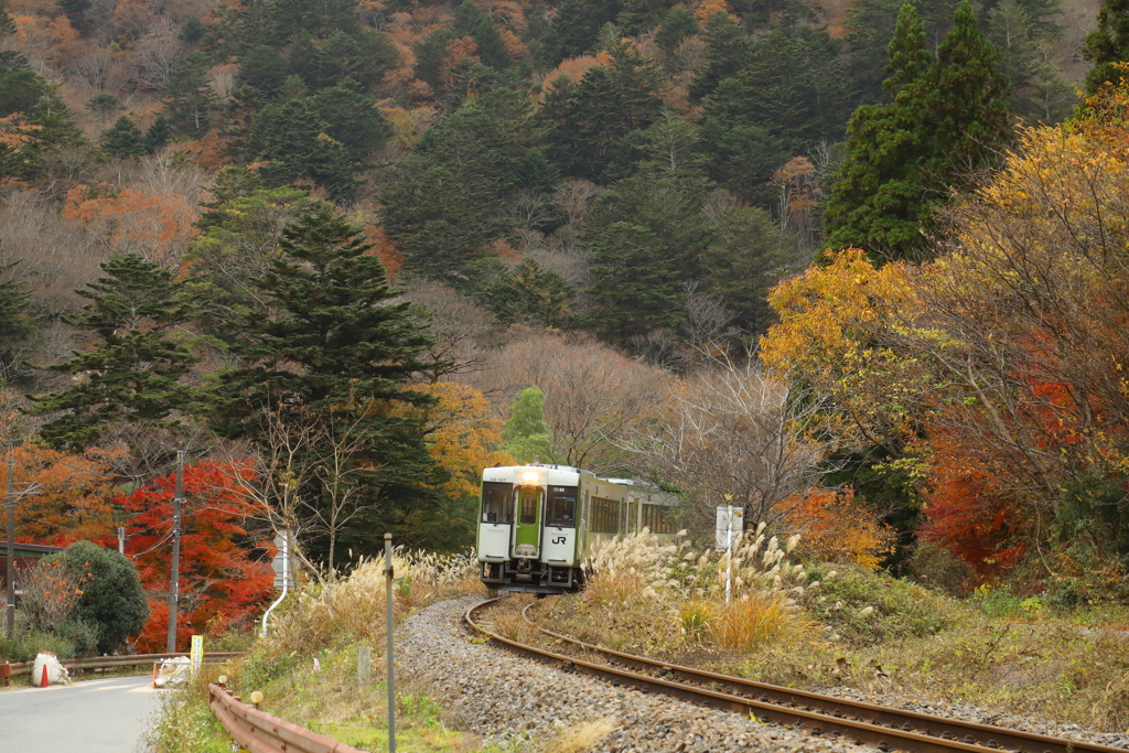 夏井川渓谷