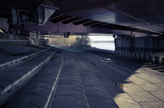 散歩道_006