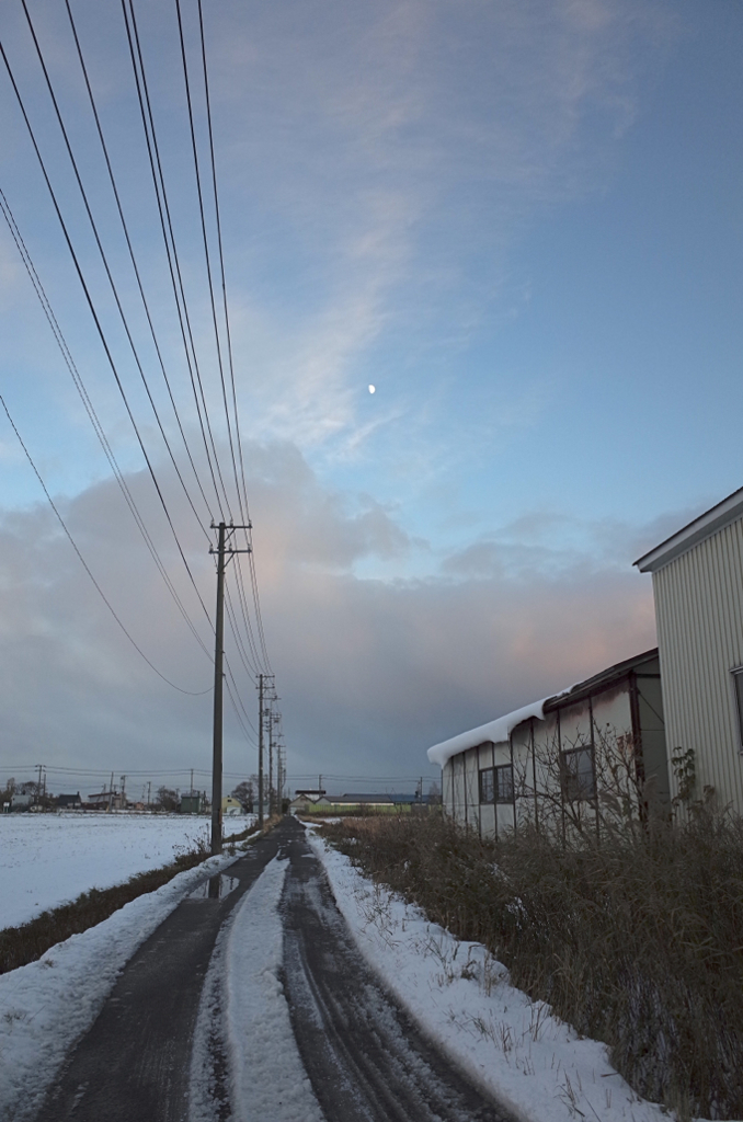 散歩道_003