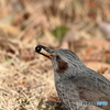 食②