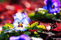 つめた～～い！