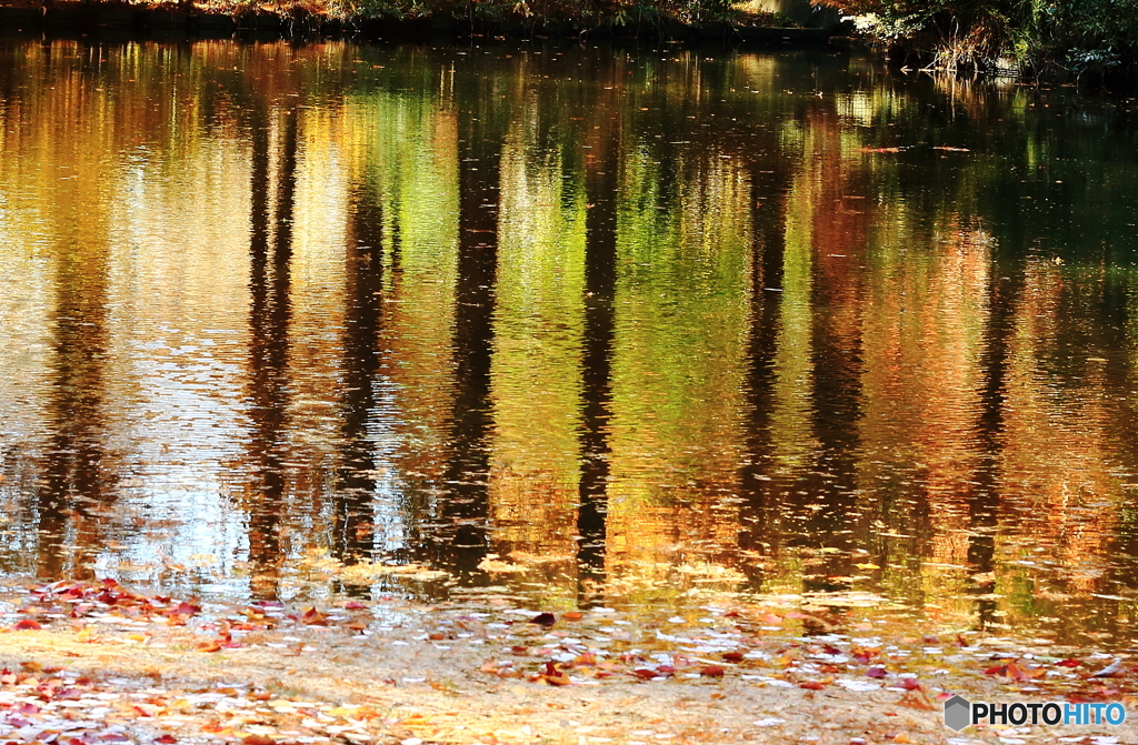 晩秋の湖畔