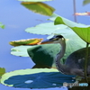 避暑