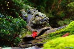 厄除けにも秋