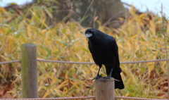 何やってんの・・・？