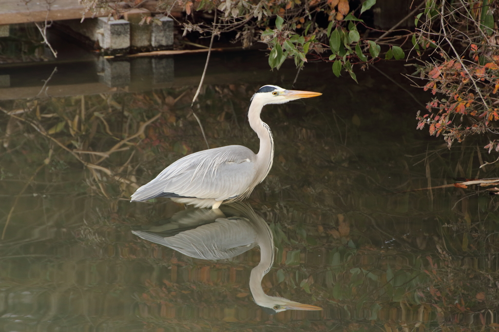 もう一人のワタシ