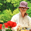一目惚れ