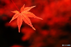 炎上
