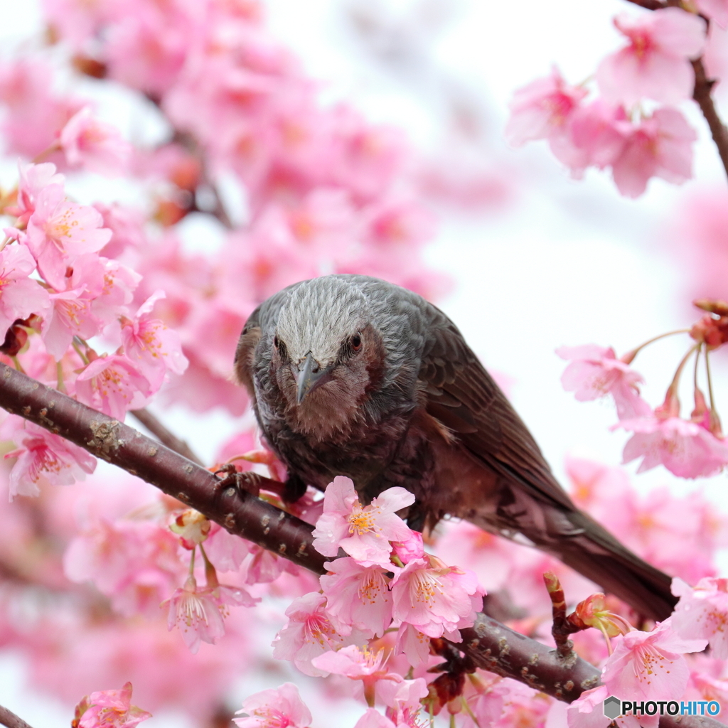 至福