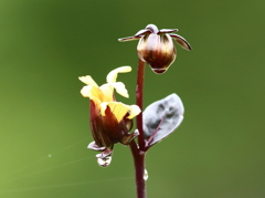 雨は上がったけど．．．