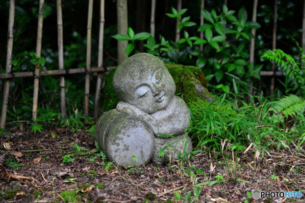 ほっこり