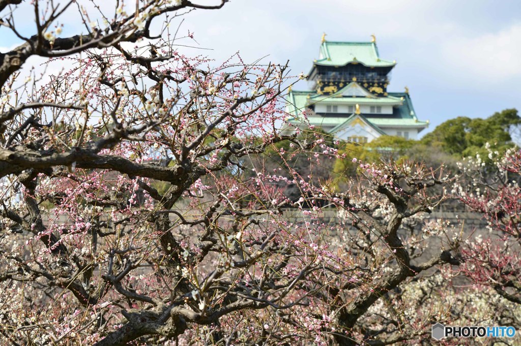 花に誘われて・・