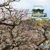 花に誘われて・・