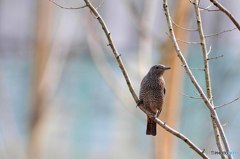 海側から山にお引っ越しですか？