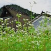 秋の香り