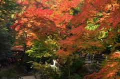 紅葉狩り