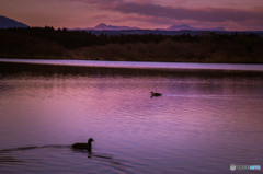 Lake of the Twilight