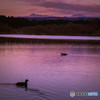 Lake of the Twilight