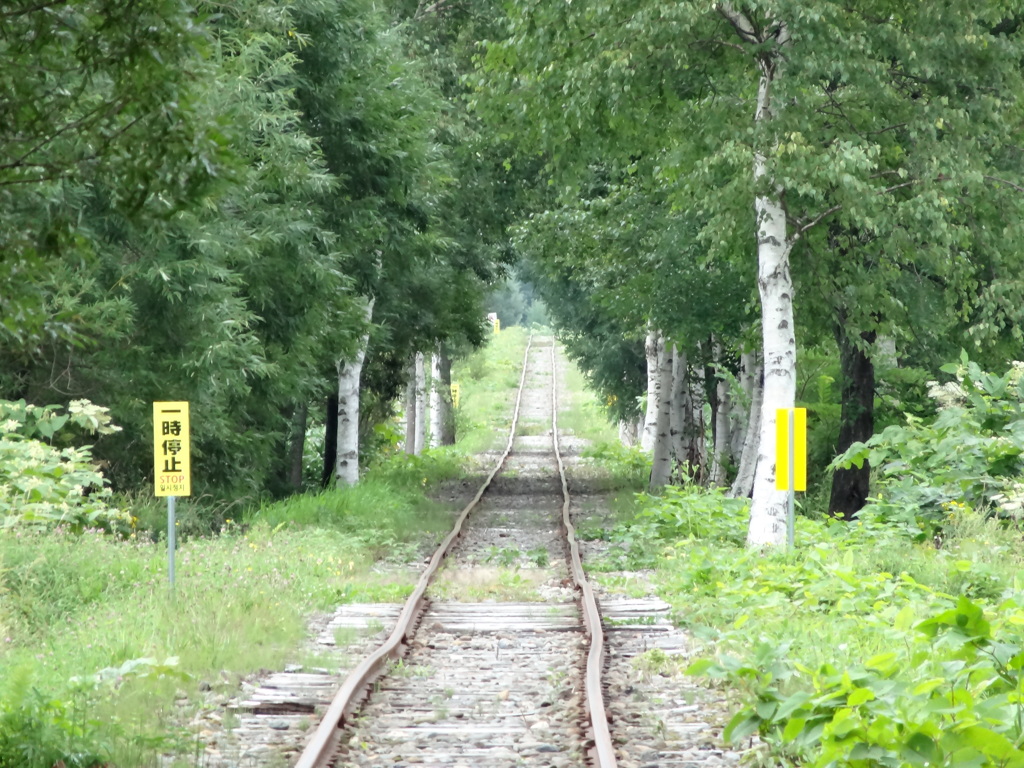 美深トロッコ王国　北海道