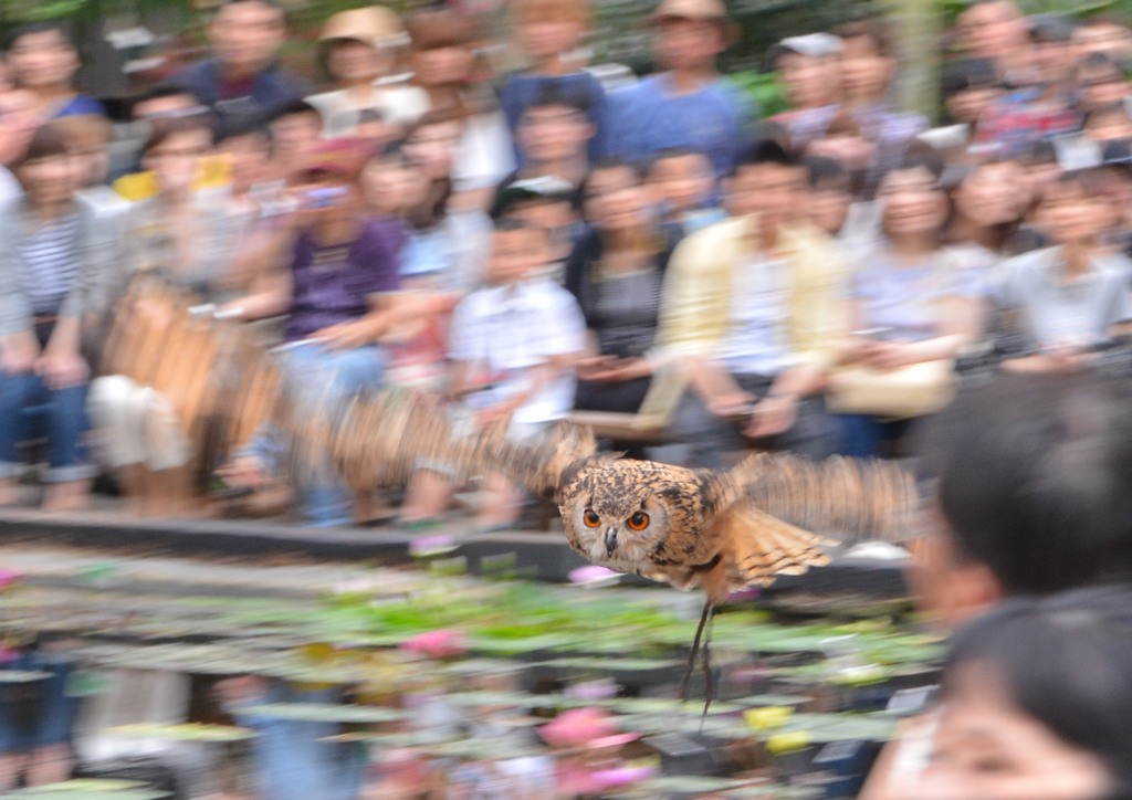 神戸　花鳥園